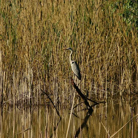 Szarvasko Nyaralo/ Deer Rock Prázdninový dům Ostřihom