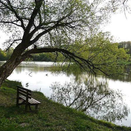 Szarvasko Nyaralo/ Deer Rock