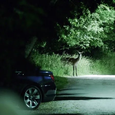 Szarvasko Nyaralo/ Deer Rock Prázdninový dům Ostřihom